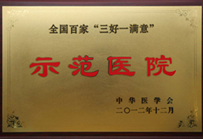 全国百家“三好一满意”示范医院