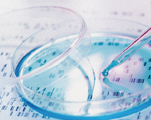 激活功能 黑素再生