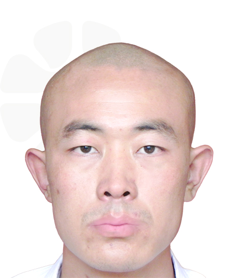 张龙