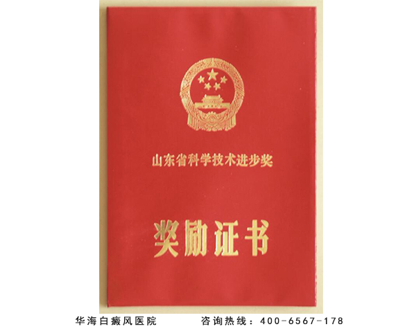 山东省科技进步奖证书