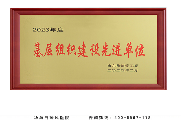 华海白癜风医院被授予“基层组织建设先进单位”荣誉称号  .jpg