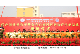 华海白癜风医院被联合国机构授予科研诊疗示范基地