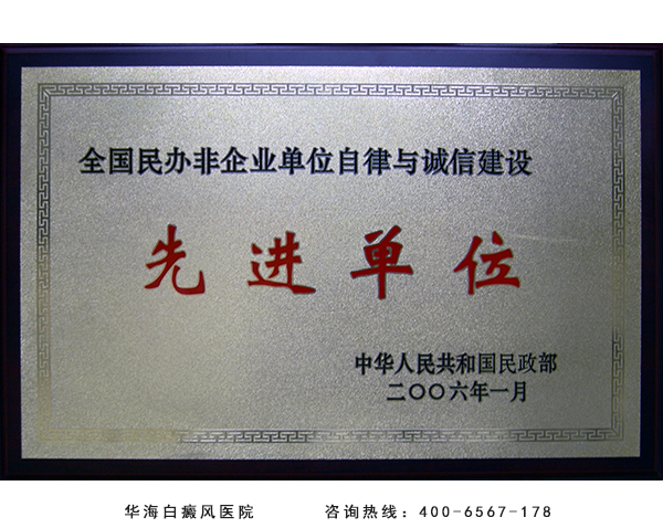 全国民办非企业单位自律与诚信建设先进单位