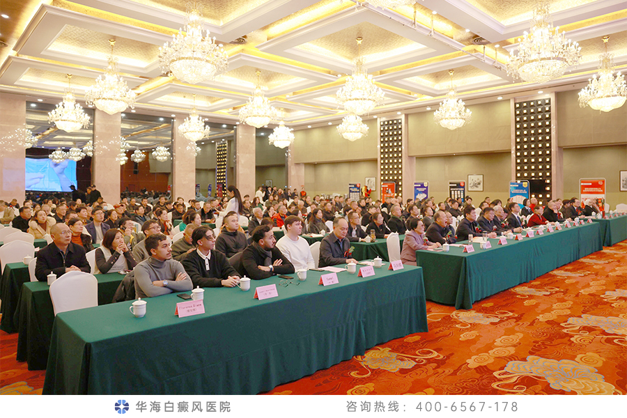 大会现场.jpg